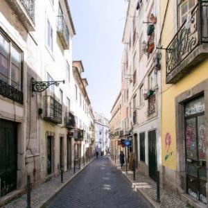 the Rose of Bairro Alto Lisbon