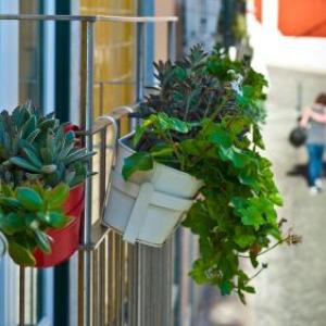 Duque´s Apartments