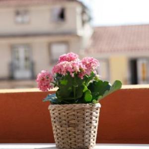 Flores Guest House