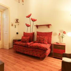 Red Almirante by Homing