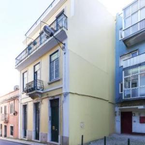 Rato Elegant by Homing 