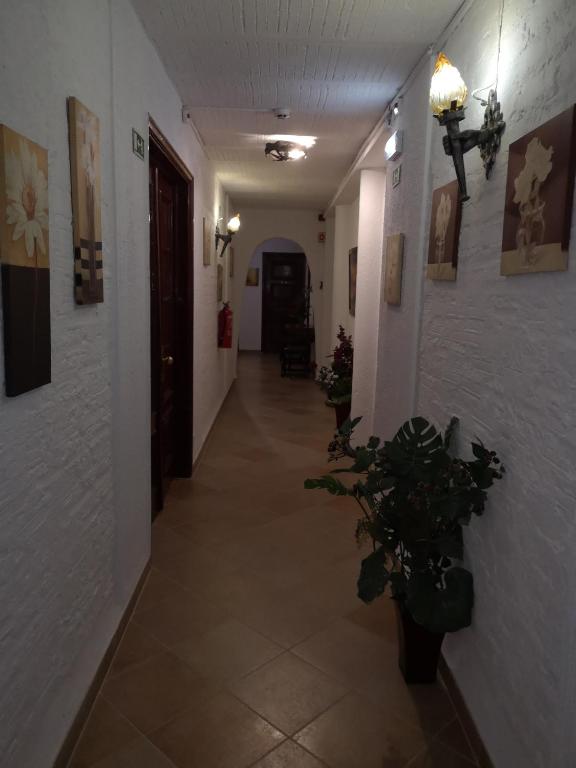 Hotel Nazareth - image 5