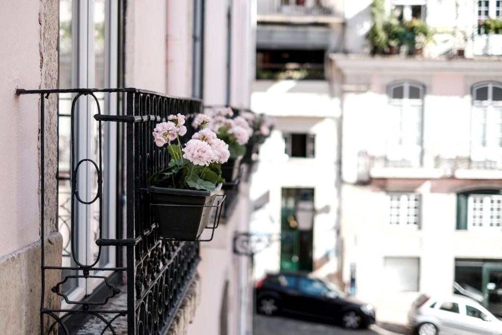 Lost Inn Lisbon Hostel - image 6