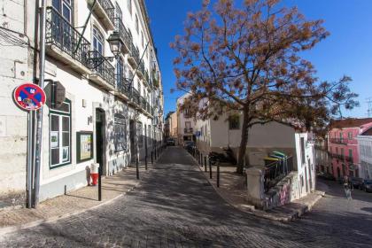Bright Santa Catarina by Homing - image 20