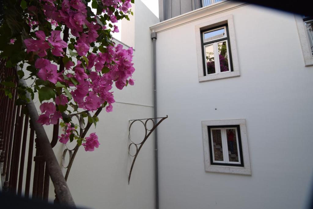 Lisbon Wine Hotel - image 4