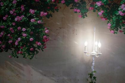 The Garden - Charming 1 Bedroom Apartment in Graça - image 4