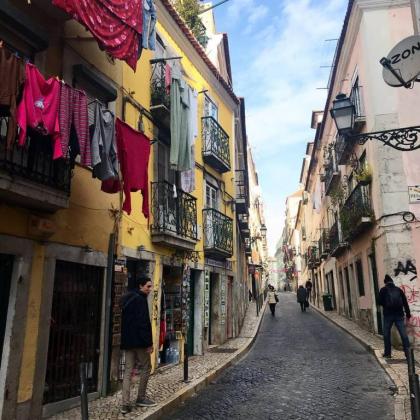 The Rose of Bairro Alto - image 8