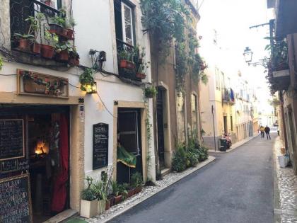 Perfect Historic Center Apartment - image 2
